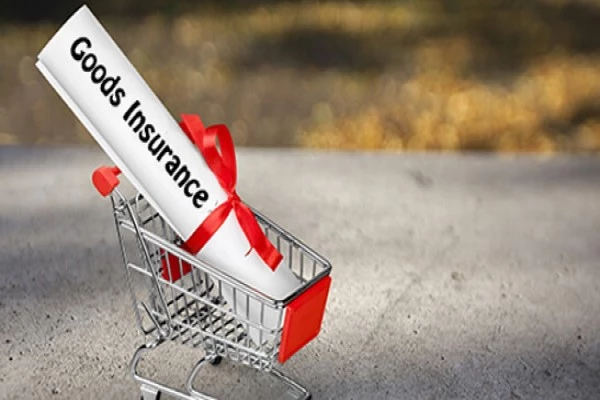 Goods Insurance Services in Ahmedabad